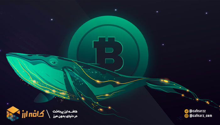رفتار نهنگ های ارز دیجیتال