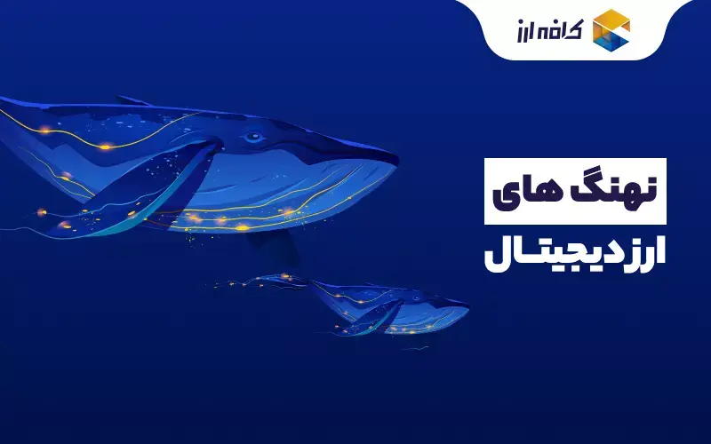 نهنگ ارز دیجیتال