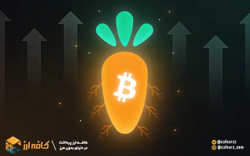 تپ روت بیت کوین چیست